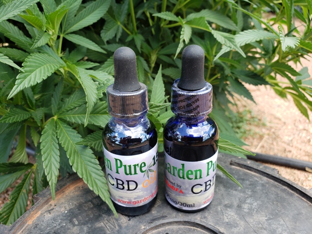 Research on CBD and Pain